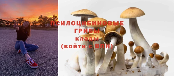 кристаллы Абаза