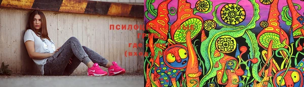 молекула духа Абинск