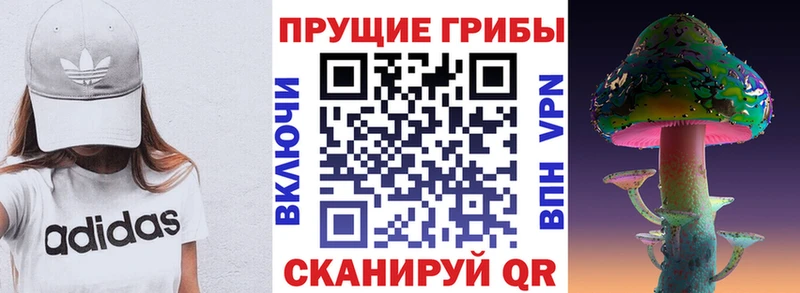 Галлюциногенные грибы Psilocybe  Таганрог 