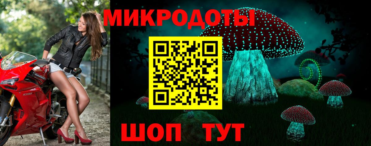 Галлюциногенные грибы Psilocybine cubensis Таганрог