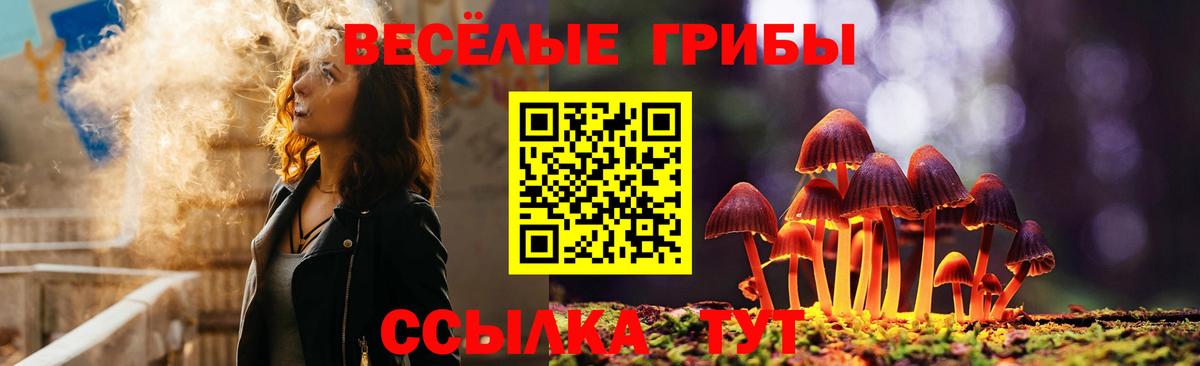 Таганрог  Псилоцибиновые грибы прущие грибы  Галлюциногенные грибы MAGIC MUSHROOMS  Вход с VPN 